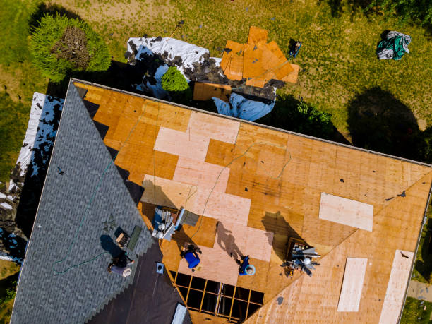 Best Roof Maintenance Services  in Maryland Heights, MO